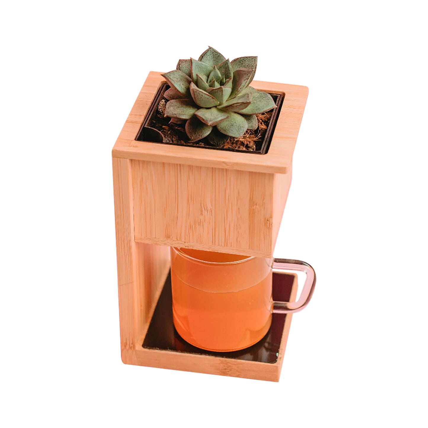 Alder Wireless Charger with Planter