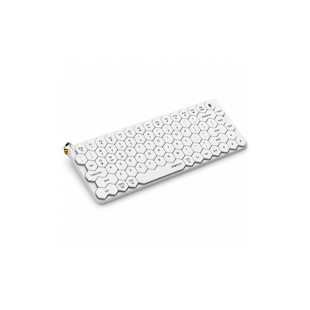 Xech Hive