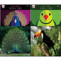 Edu Puzzle Cube Bird for Kids