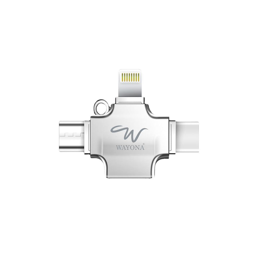 Wayona 4-in-1 OTG Card Reader