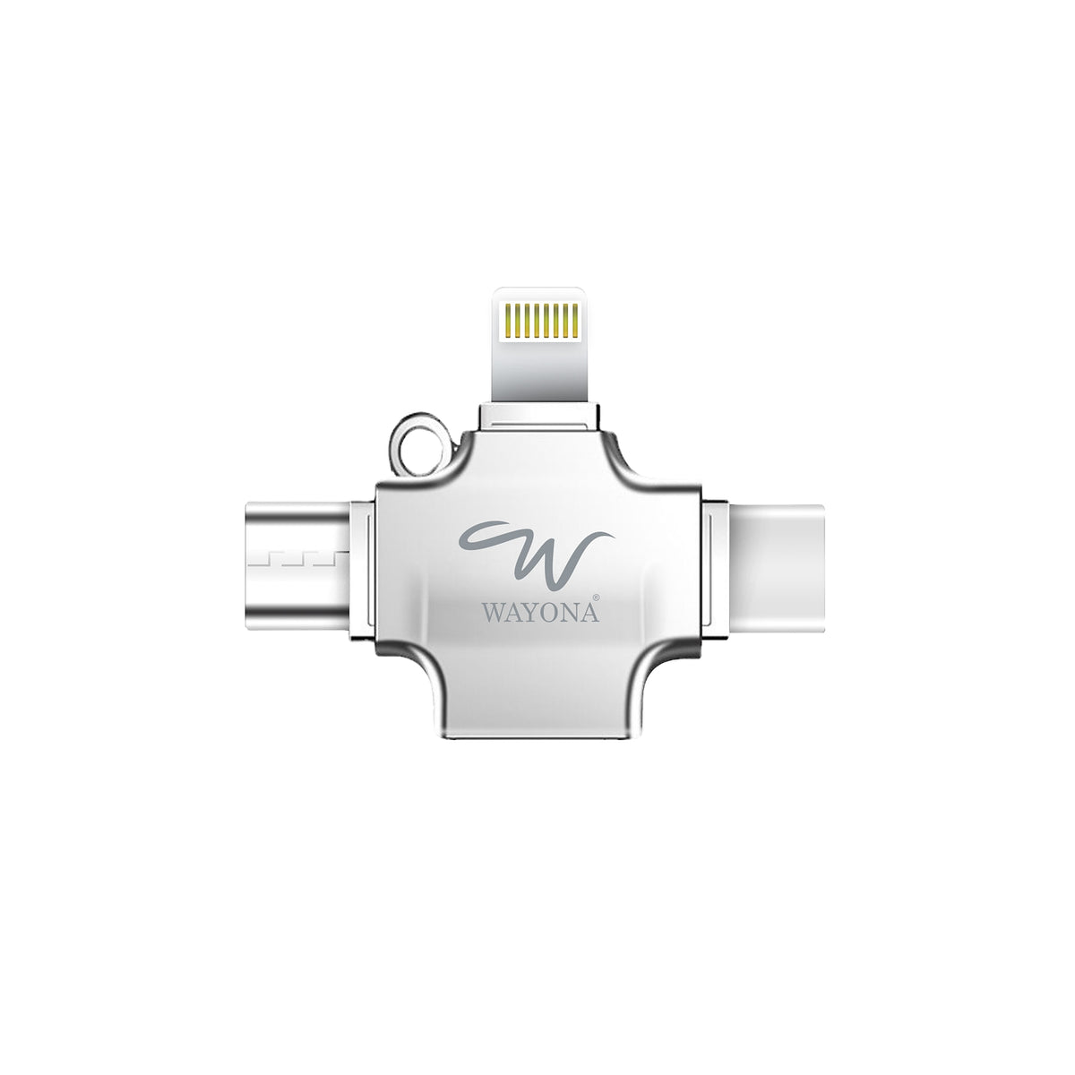 Wayona 4-in-1 OTG Card Reader