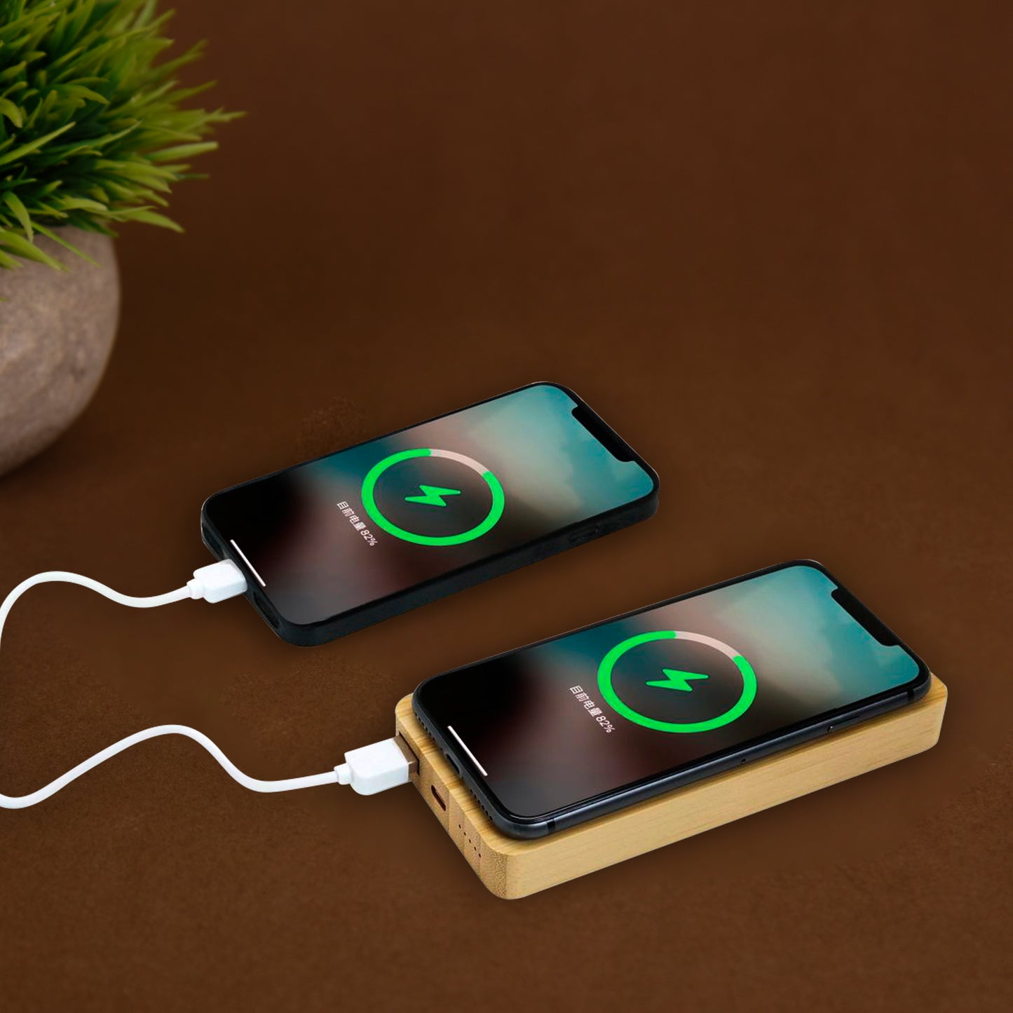 Aspen Qi 10000mAh Bamboo Wireless Power Bank