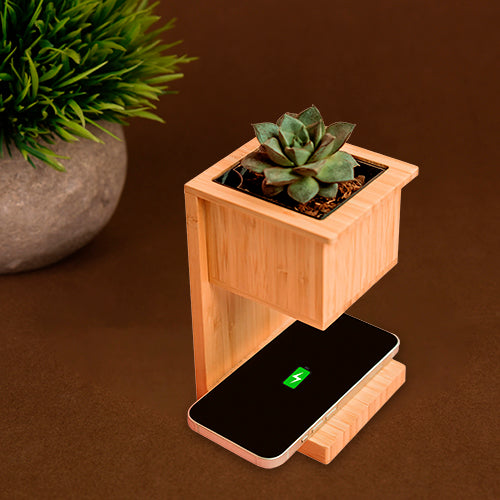 Alder Wireless Charger with Planter