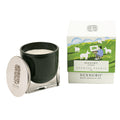 Serene Scented Candle – Scenuro